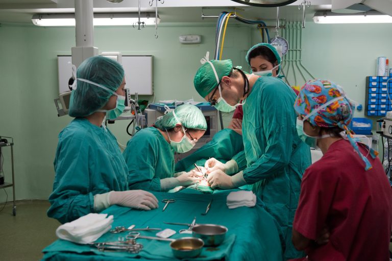 ethnic minority organ donor