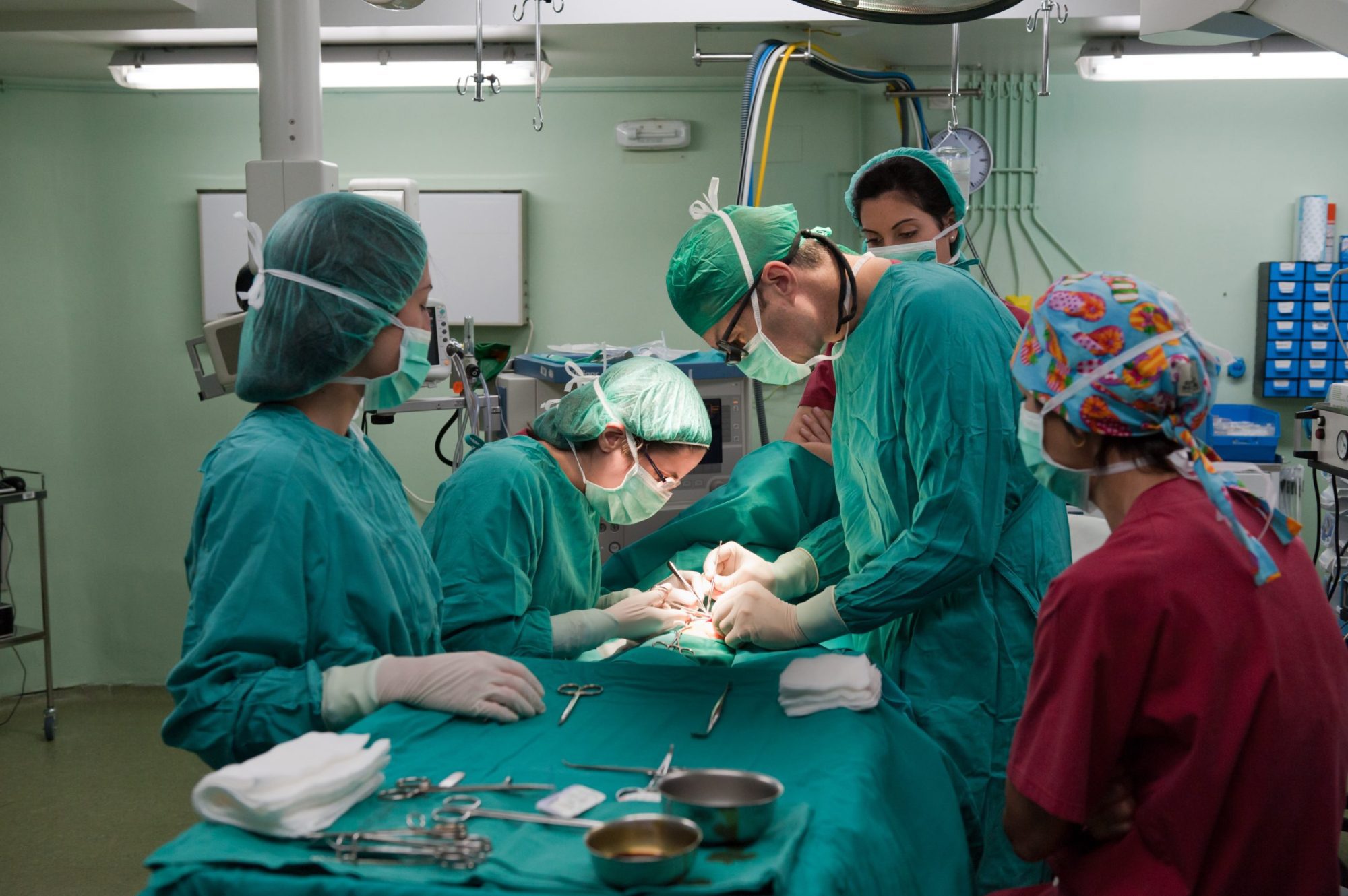ethnic minority organ donor