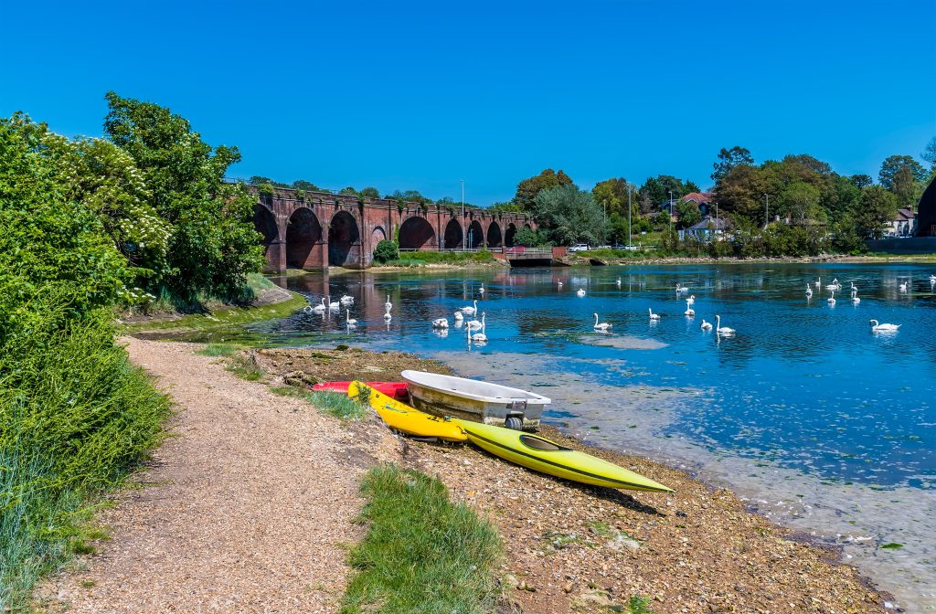 Today, Fareham Borough Council launched a public consultation concerning additional guidance on biodiversity, specifically concerning the future and protection of plant and animal life.