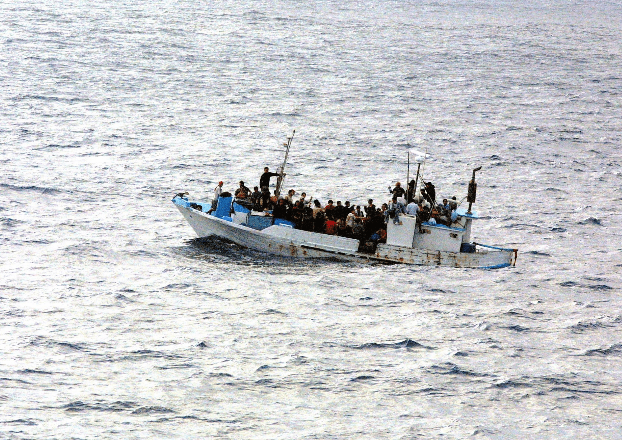 migration