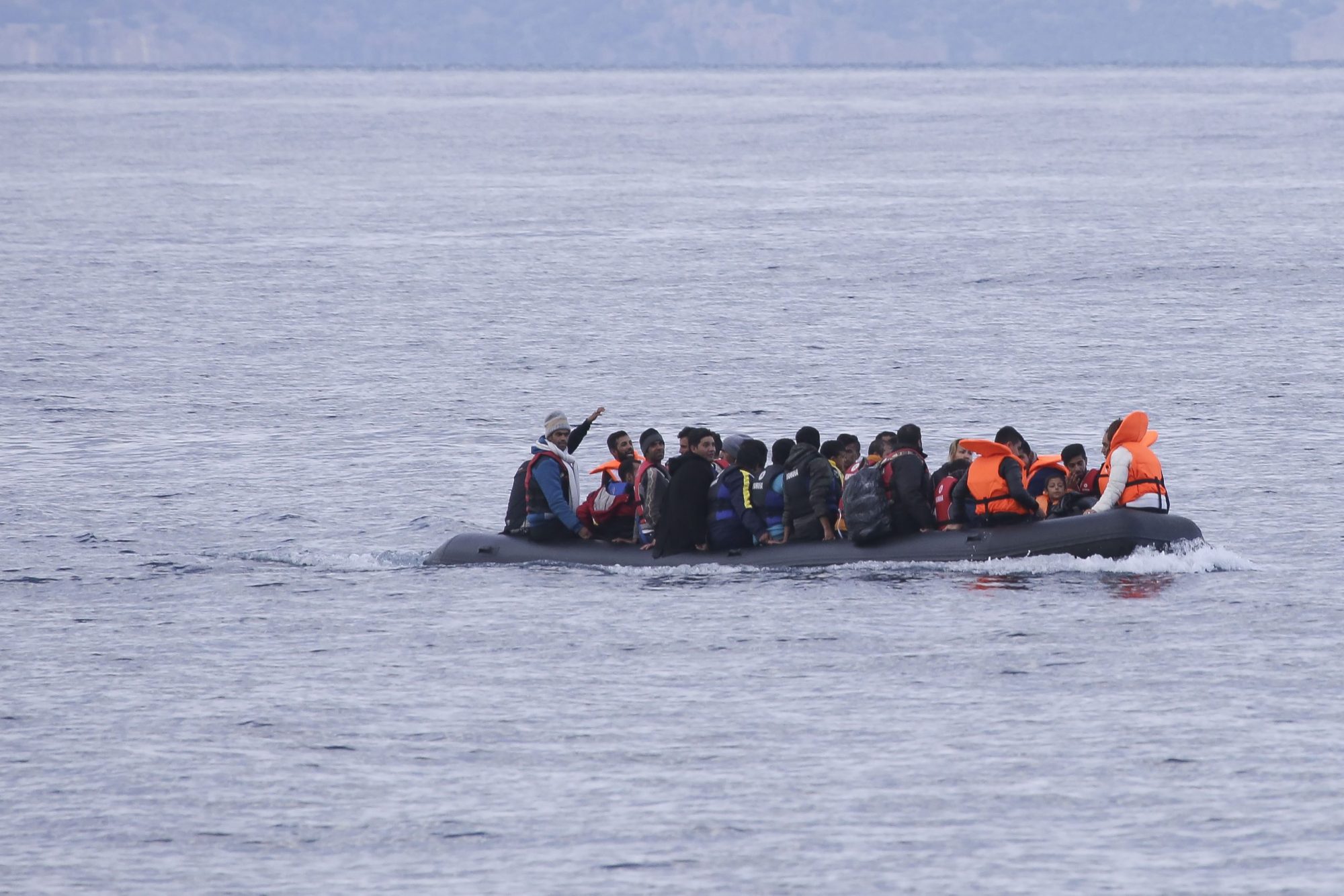 migration
