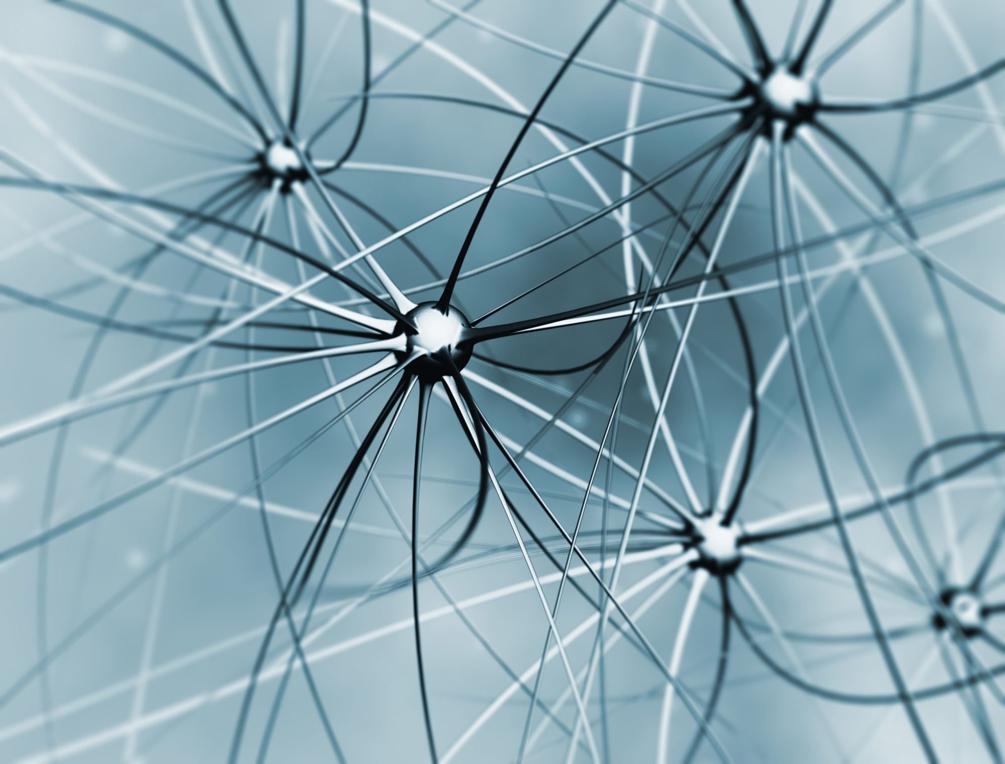 motor neuron