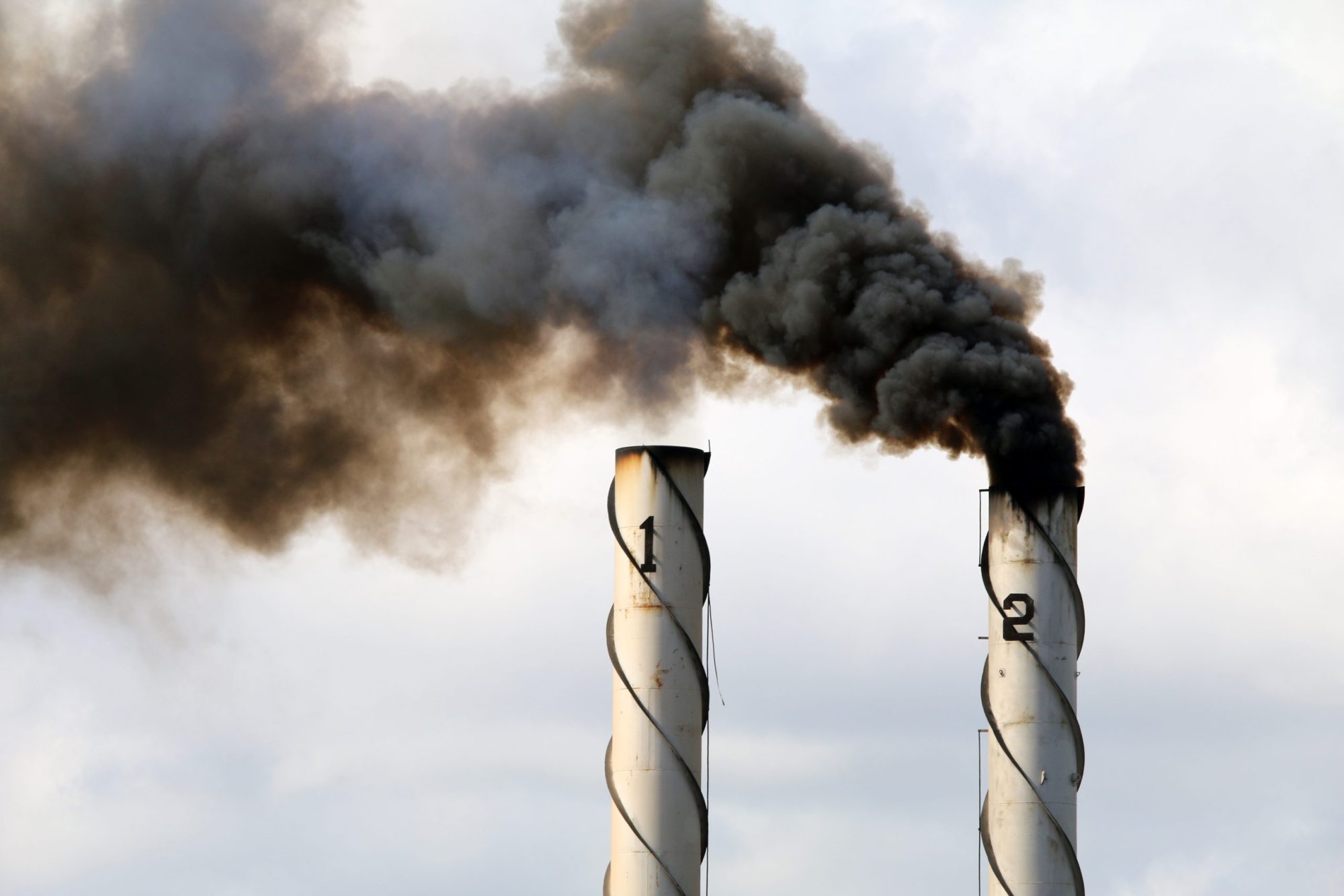 The ideological divide over green energy and net zero
