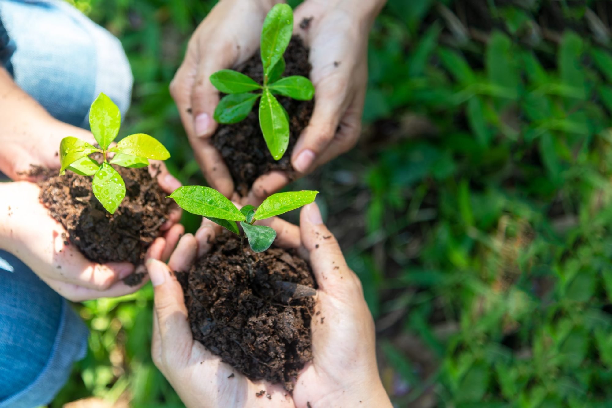 How nature restoration is one of the most powerful tools in our arsenal to tackle thew climate crisis