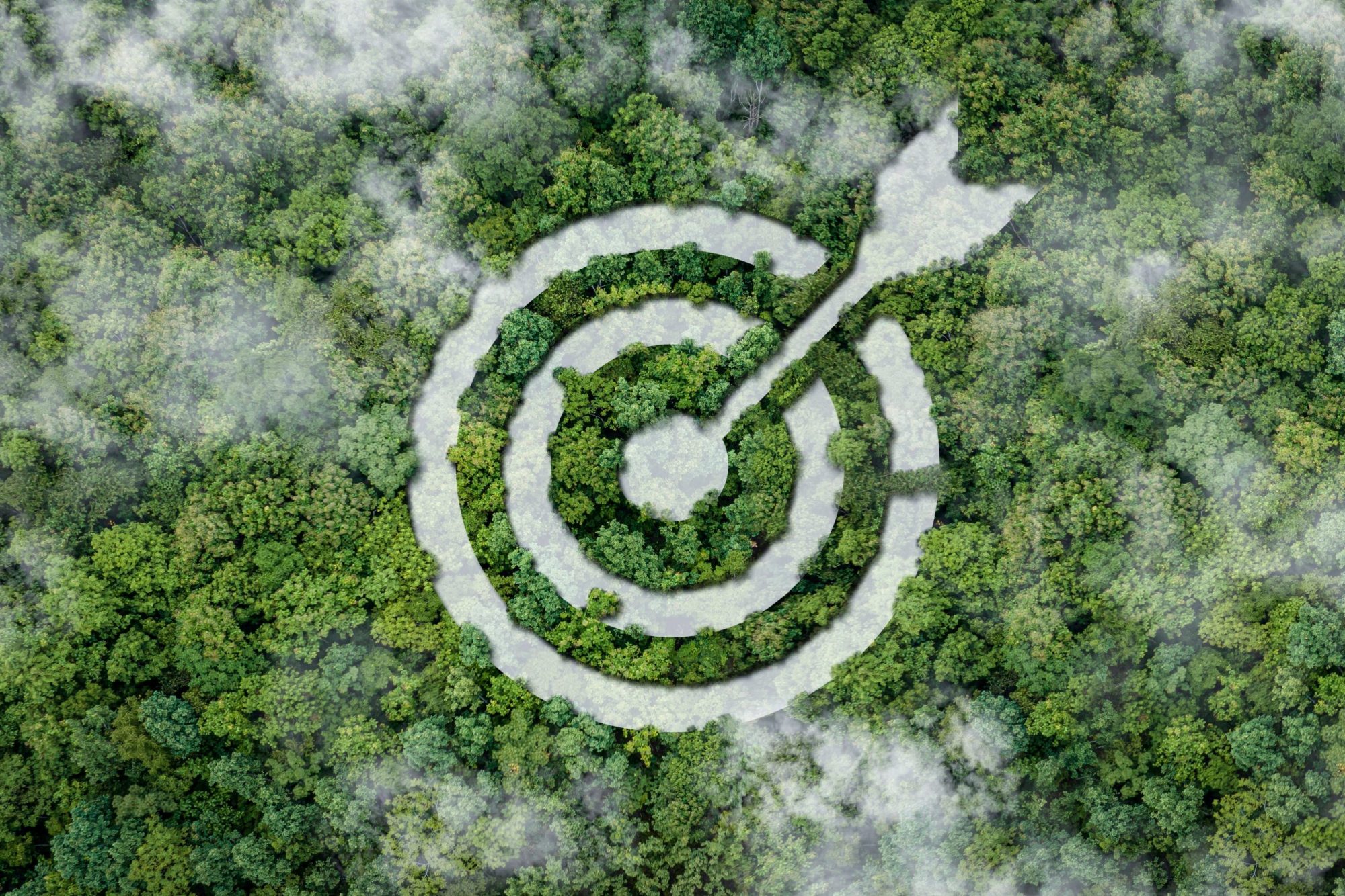 how collaboration is the key to securing a sustainable future and encourage economic growth