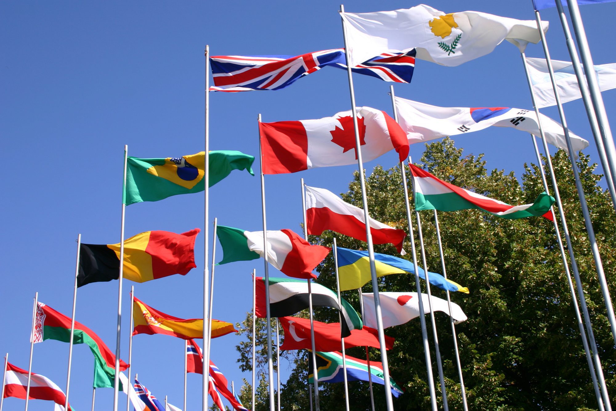 Providing insight into the extensive diplomatic career and grassroots political journey of Caroline Newton, Conservative parliamentary candidate for Henley and Thames, highlighting her experiences in international relations and local governance and her aspirations for promoting Britain's place in the world.