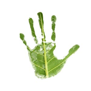 In our quest for a decarbonised economy, establishing a robust 'greenprint' is crucial. This strategic blueprint was the focal point of a panel discussion at Chamber UK's and JBP's 'Future Economy' seminar in the South West.