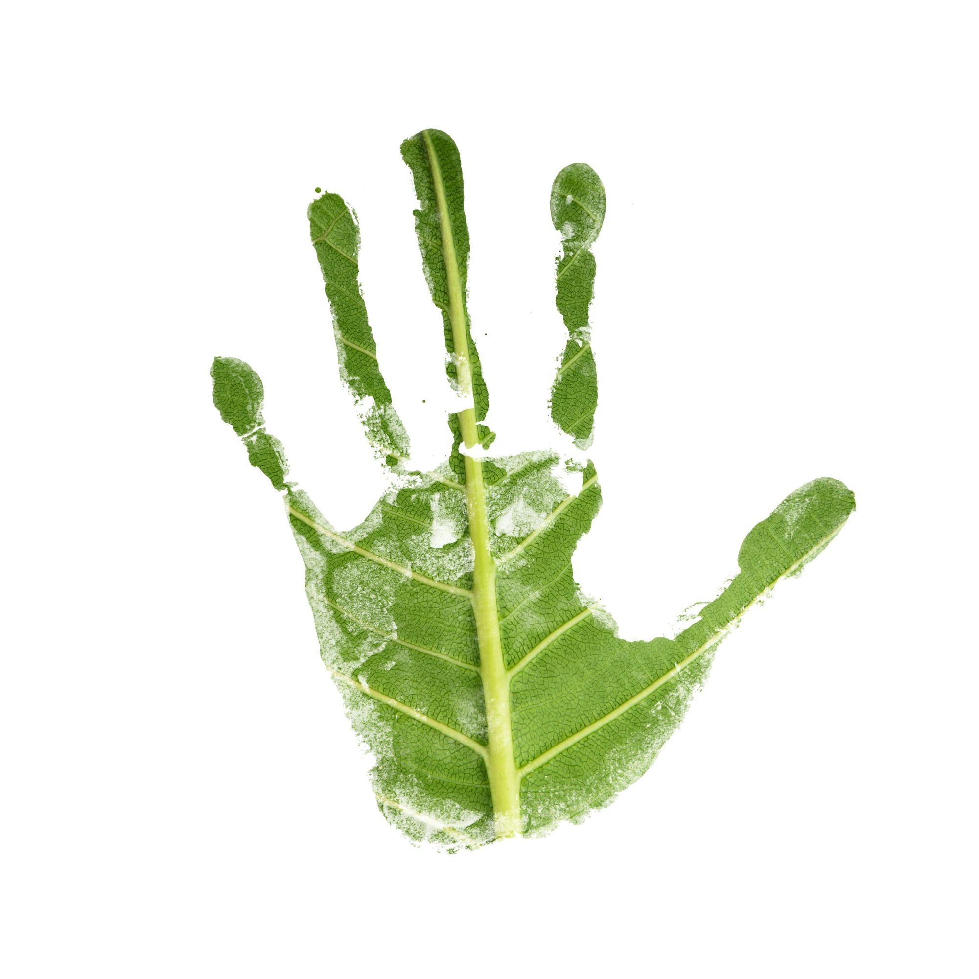 In our quest for a decarbonised economy, establishing a robust 'greenprint' is crucial. This strategic blueprint was the focal point of a panel discussion at Chamber UK's and JBP's 'Future Economy' seminar in the South West.