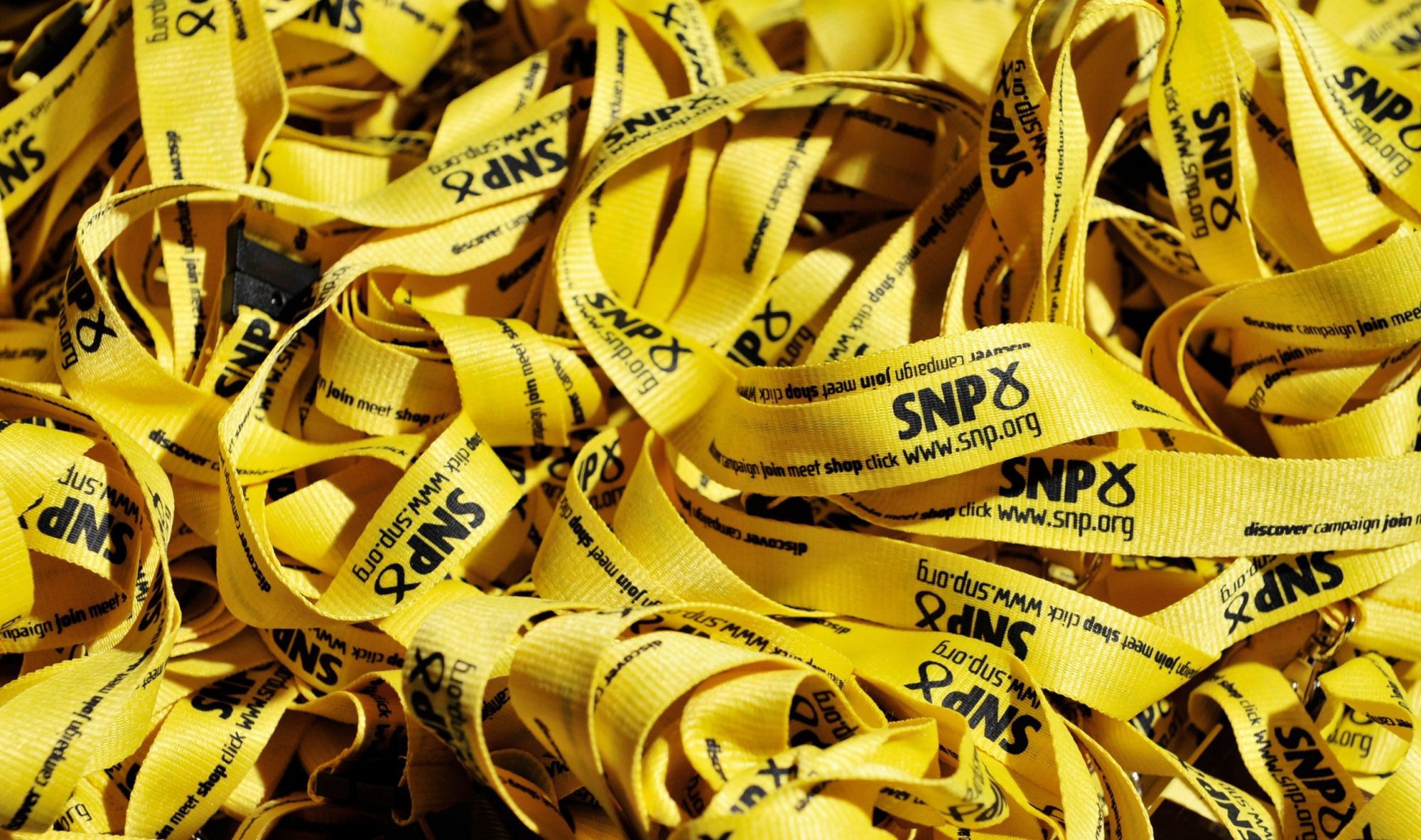The SNP Party Conference: How can the SNP Come Back?