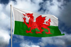 Wales, Rhodri ab Owen, Caerphilly by-election