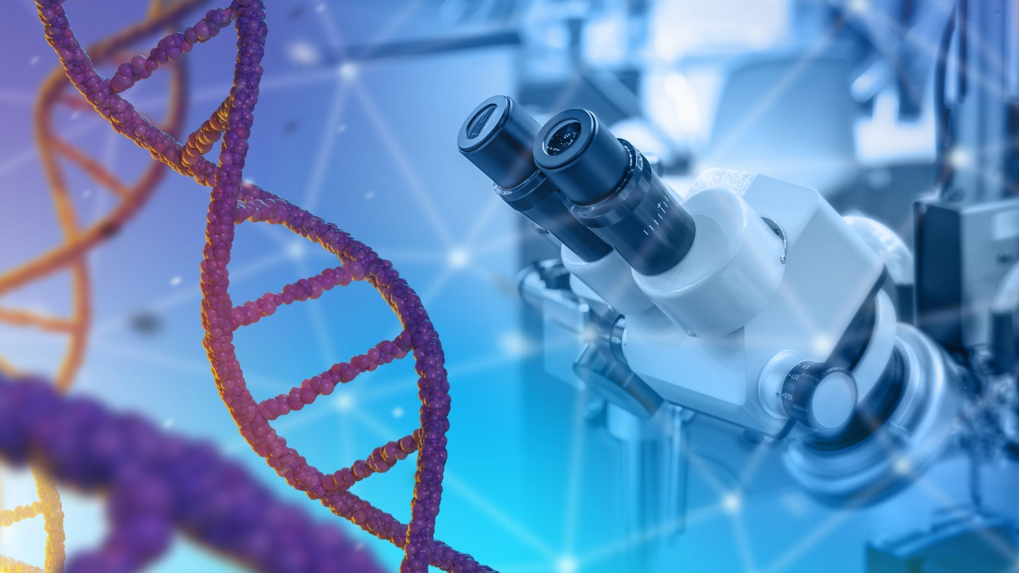 Paddington Life Sciences Celebrates 1 Year of Progress Through Partnership