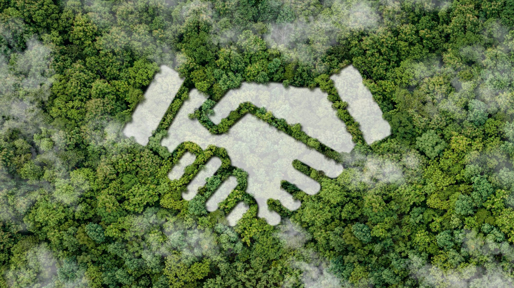 The Urgent Need to Reform Contracts for Difference in Renewable Energy