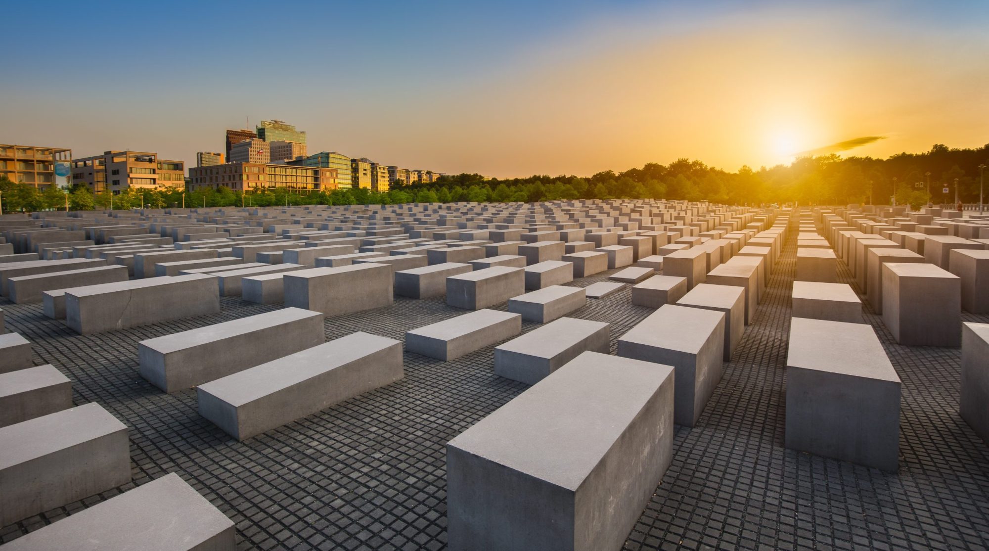 Remembering Auschwitz: 80 Years On, A Tribute to Resilience and Humanity