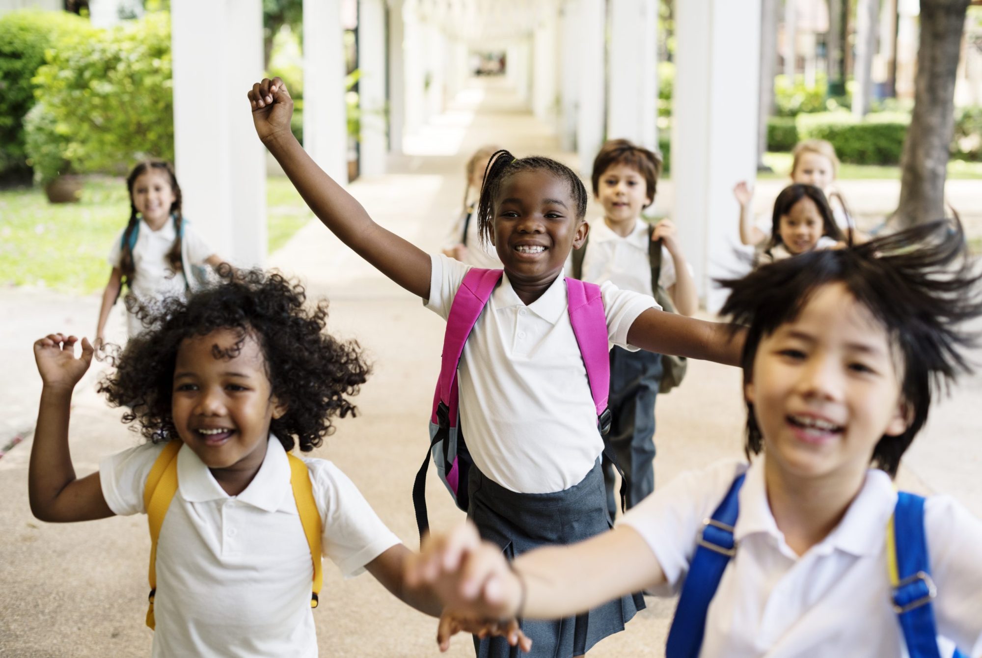 Primary Schools: A Key Setting for Early Mental Health Intervention