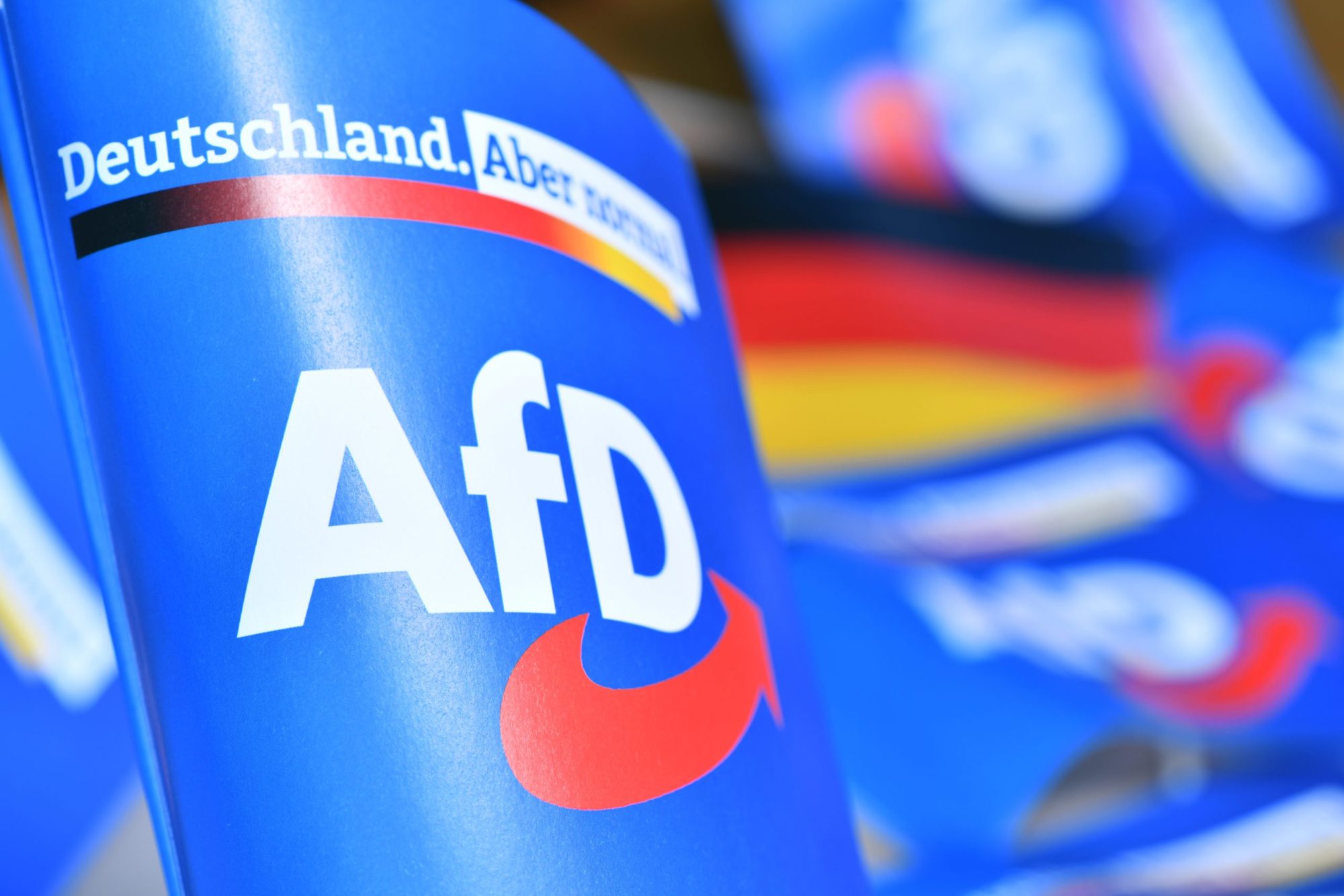 German Federal Elections 2025: Shaping the Future of German Politics