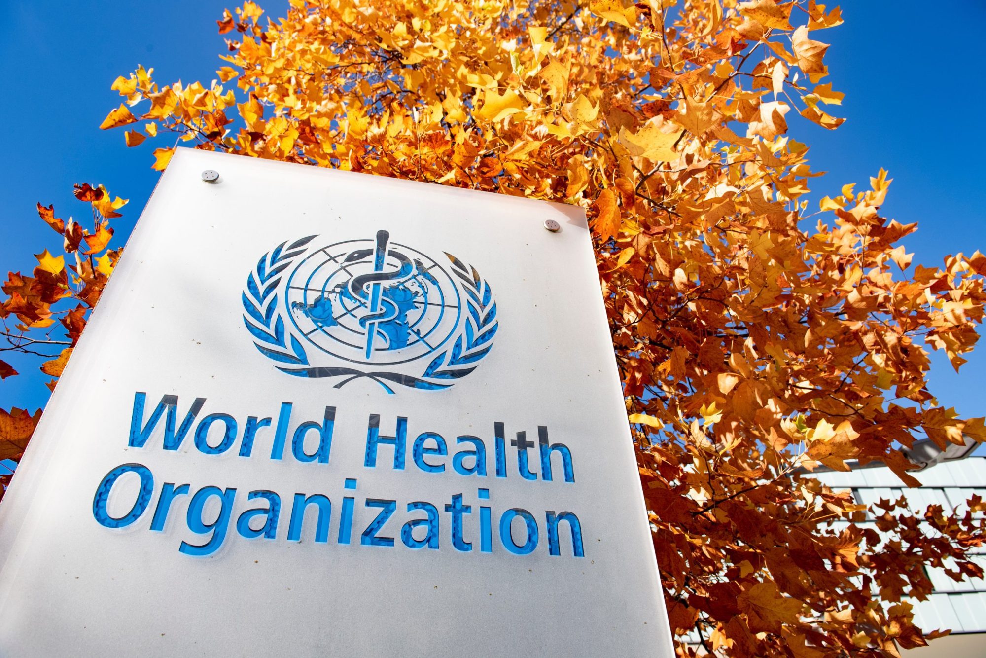 The UK Must Step Up as the US Withdraws from the WHO