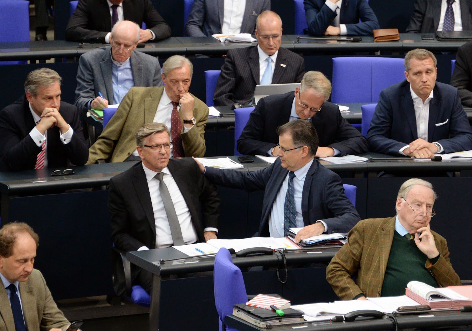 AfD in parliament