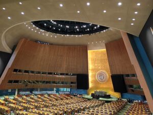 United Nations General Assembly