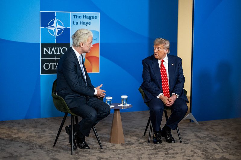 54616347794 032bf4e841 c