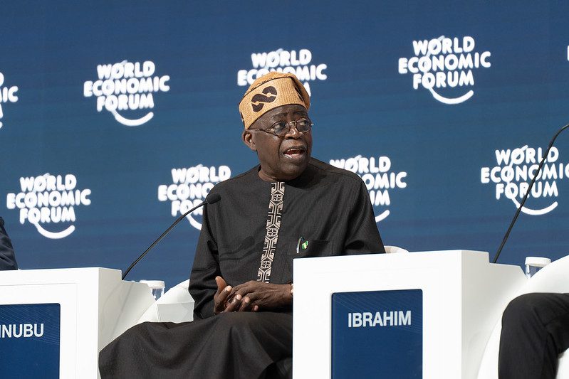 53684253053 915b2b856e c