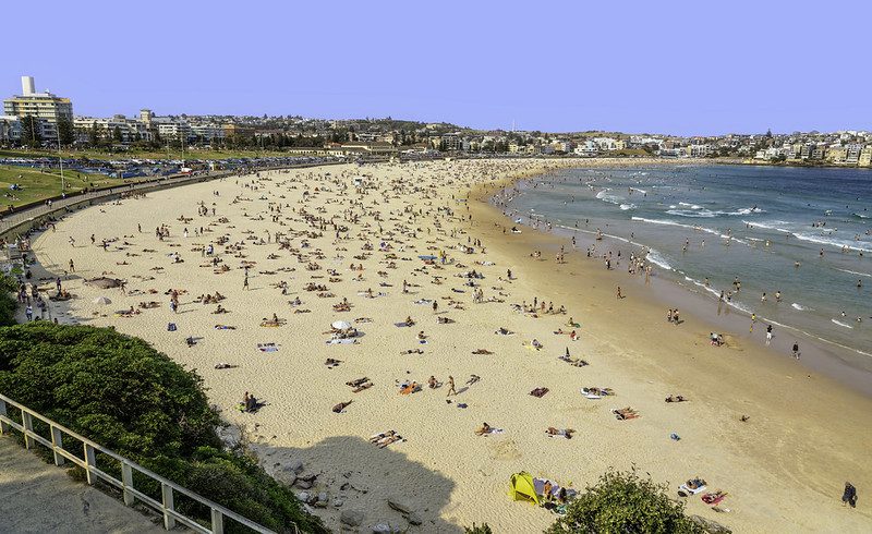 50756066463 a675a84a93 c