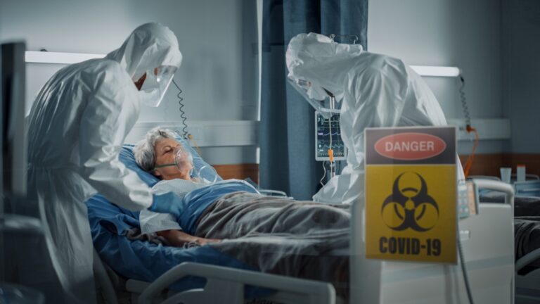 shutterstock 1985507306 small