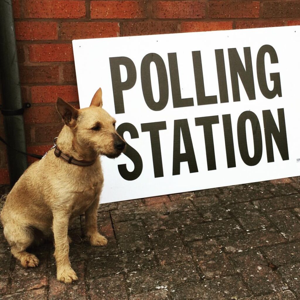 Proportional Representation Amendment